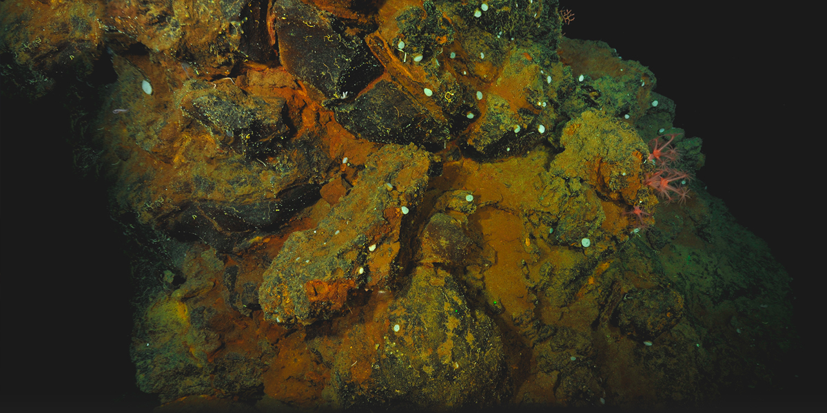 Science on the Rock: Deep-Sea Mining of Hydrothermal Vents