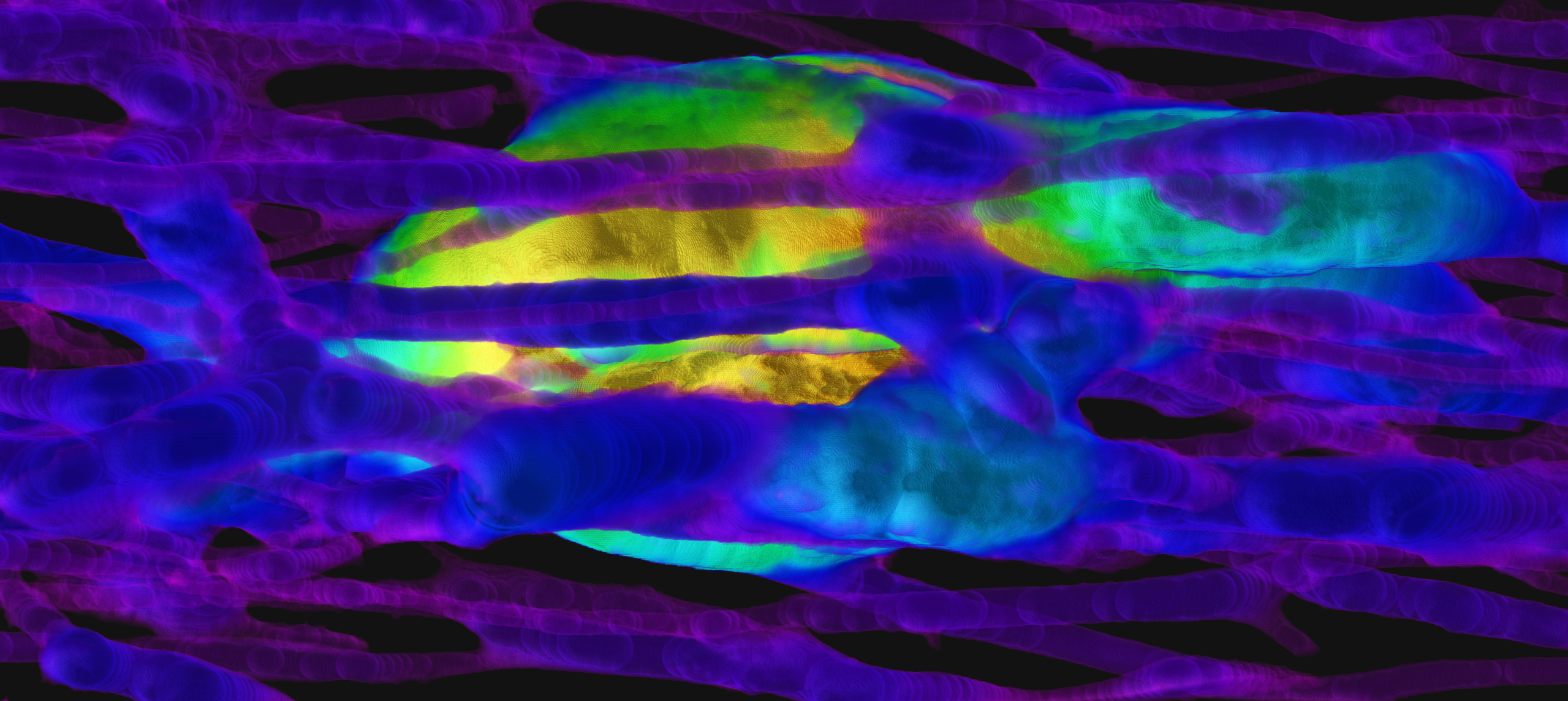 A high-resolution 3D render of bone. The image includes many colours.