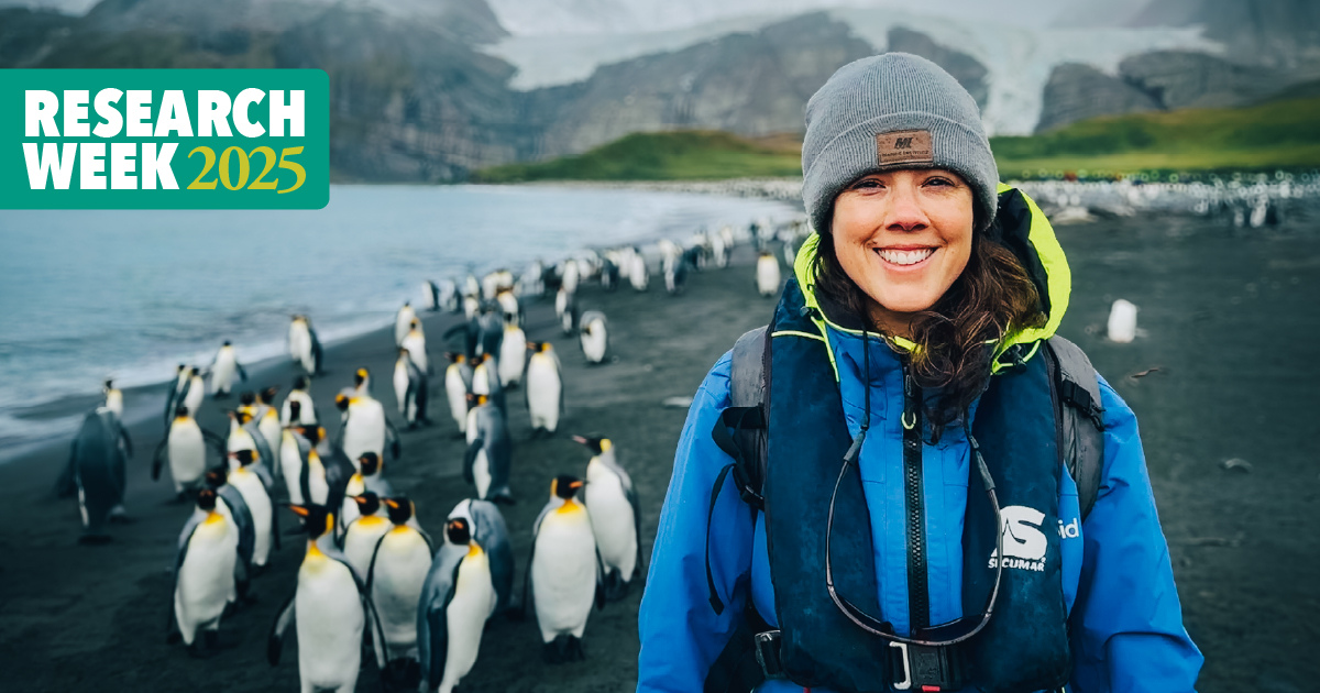 From coral reefs to icebreakers