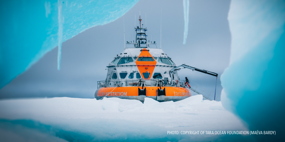 Into the ice